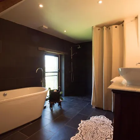 L'elegante * Savennieres